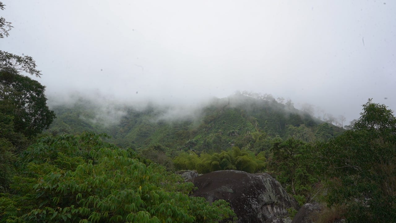 How To Resist a Gold Mine